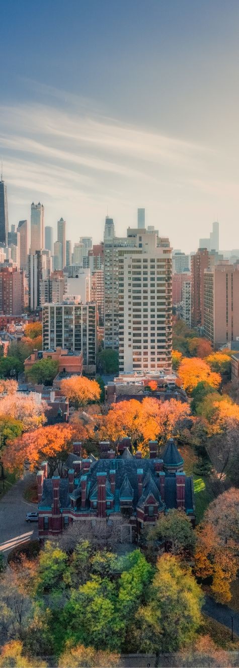 chicago skyline