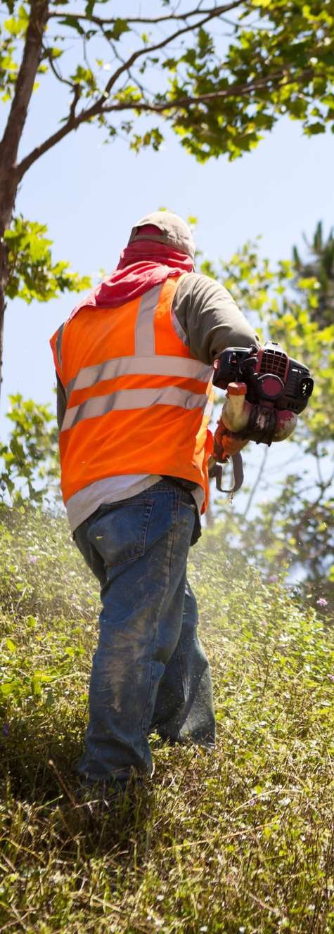 man weed whacking
