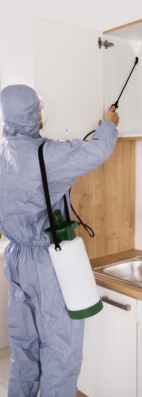 pest control specialist in residential property