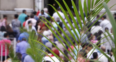 Palm Sunday celebration