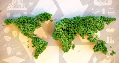 un mapa del mundo compuesto de plantas verdes