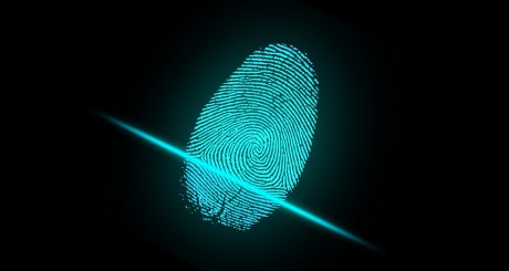 a neon green image of a fingerprint on a black background