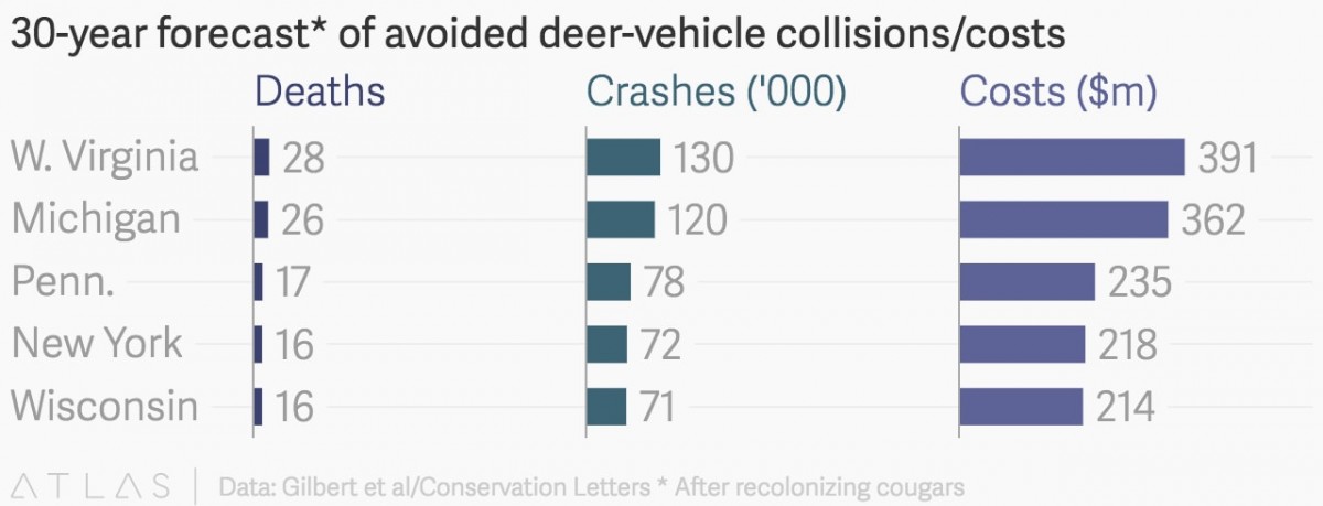 deer graph english.jpg