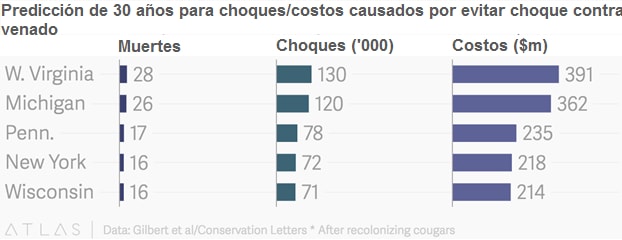 deer graph spanish.jpg