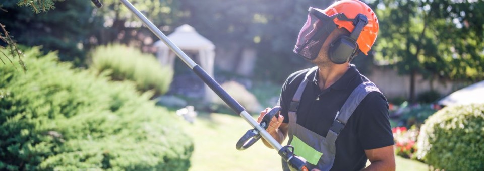A Landscaper Trims The Hedges and Trees In A Yard A Landscaper Trims The Hedges and Trees In A Yard