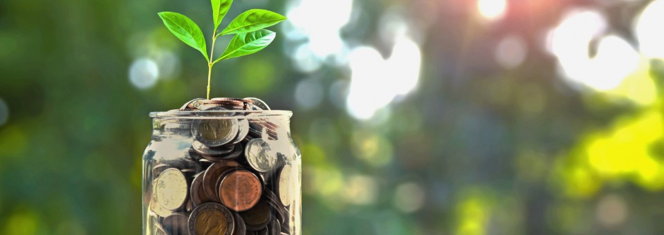 money saving jar growing money saving jar growing