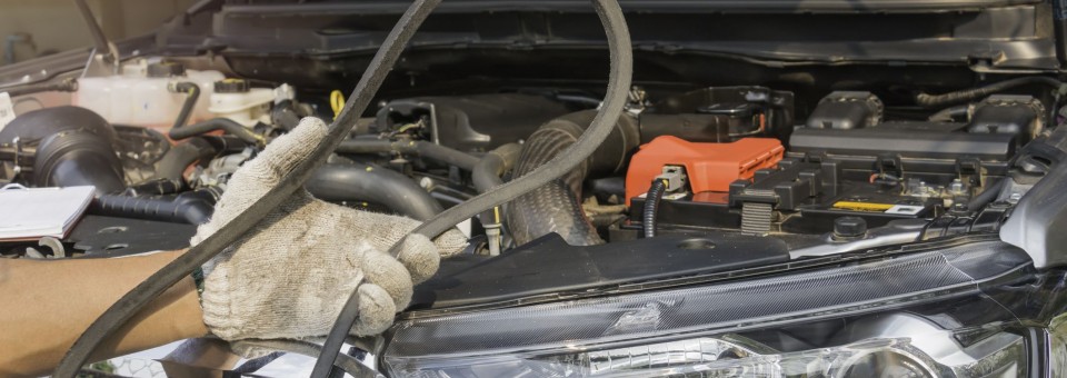 Mechanic fixing timing belt