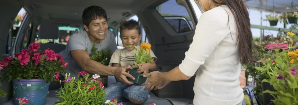 Family gardening together Family gardening together