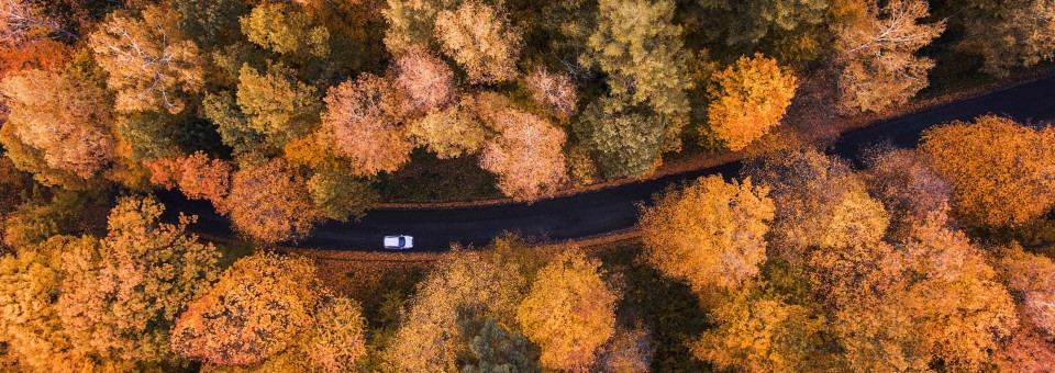car driving in fall