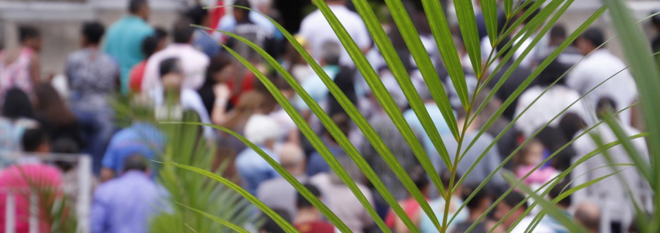 Palm Sunday celebration