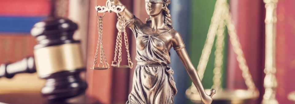 Lawyer Professional Business Lawyer Professional Business