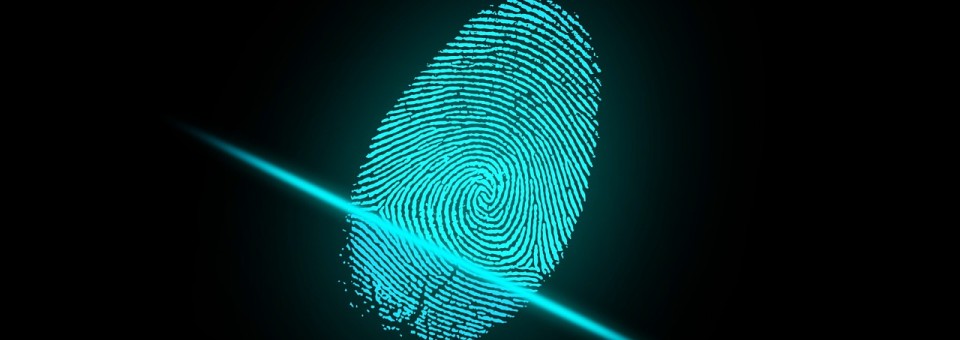 Fingerprint Fingerprint